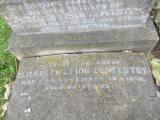 image of grave number 876002